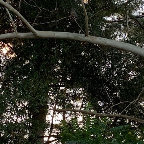 Meet your Posher, Jake - Picture 1 of 1